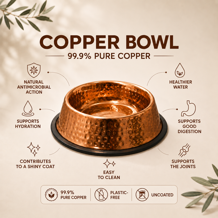 Copper Pet Bowl by Thandi & Maya