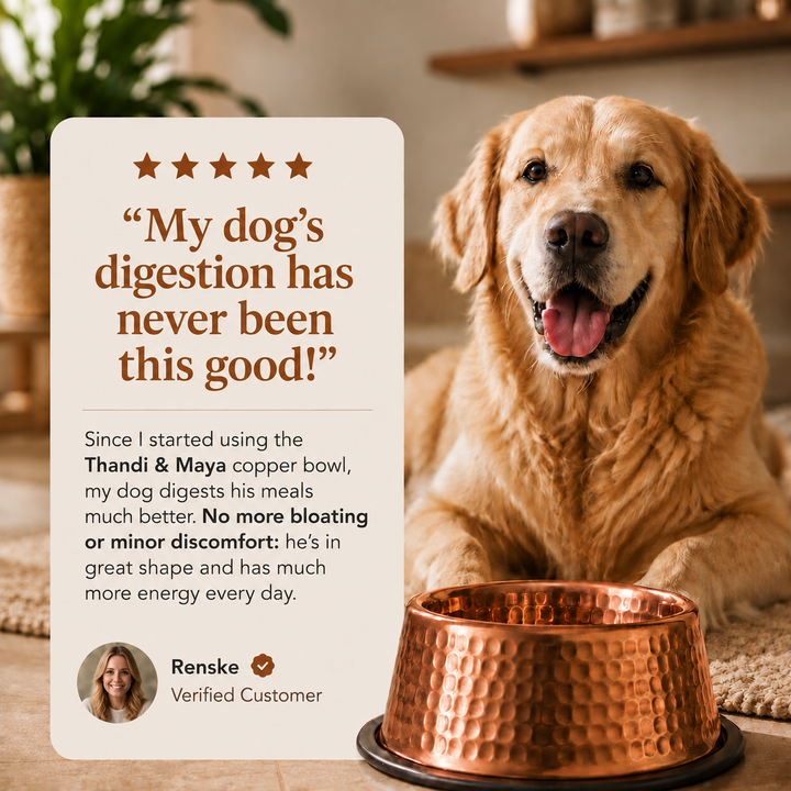 Copper Pet Bowl by Thandi & Maya